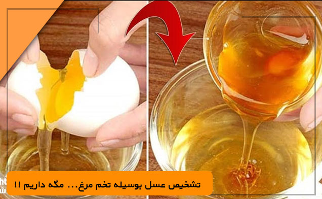  تشخیص عسل بوسیله تخم مرغ